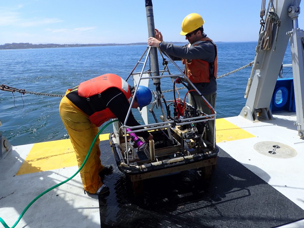 Rinsing the SEABOSS grab sample for infauna