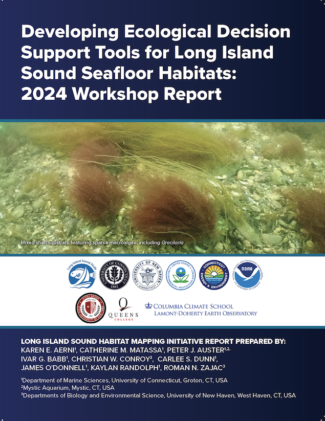 Cover from the Final Report of the Decision Support Tool Workshop