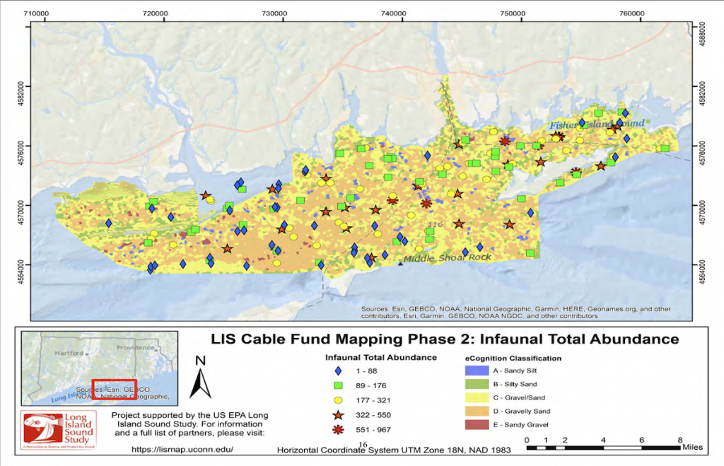 Spatial distribution of total abundance of infauna among the sample locations in the LIS Phase II
Study Area