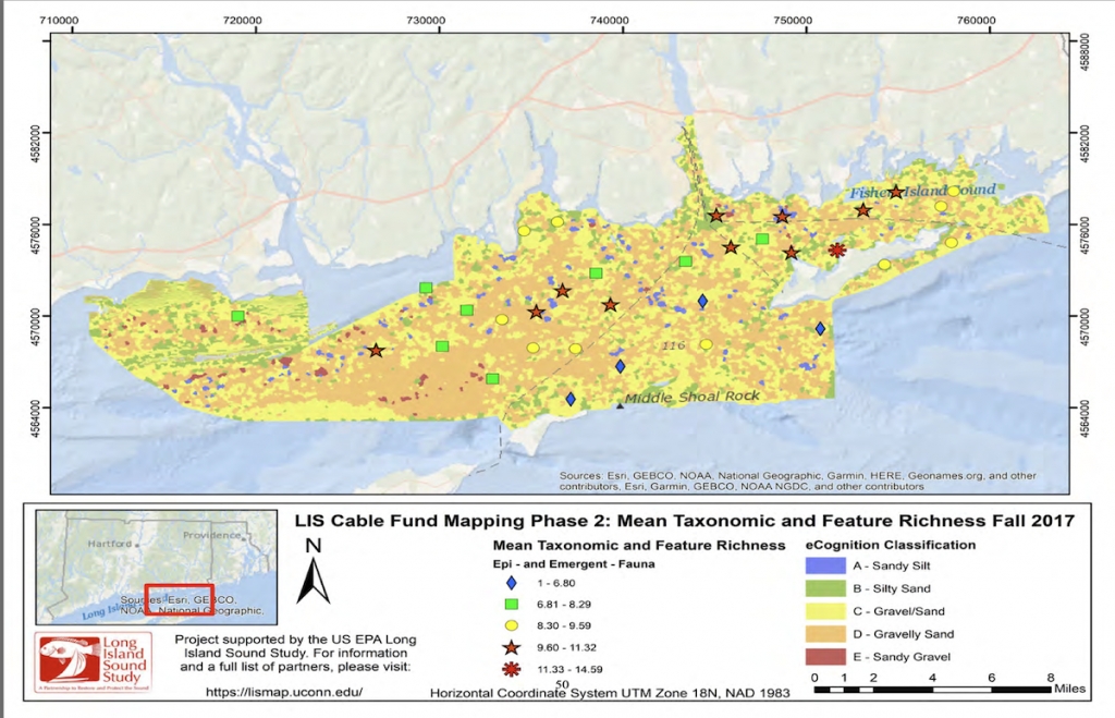 Spatial distribution of total abundance of epifauna and seafloor feature from the sample locations in the LIS Phase II study area