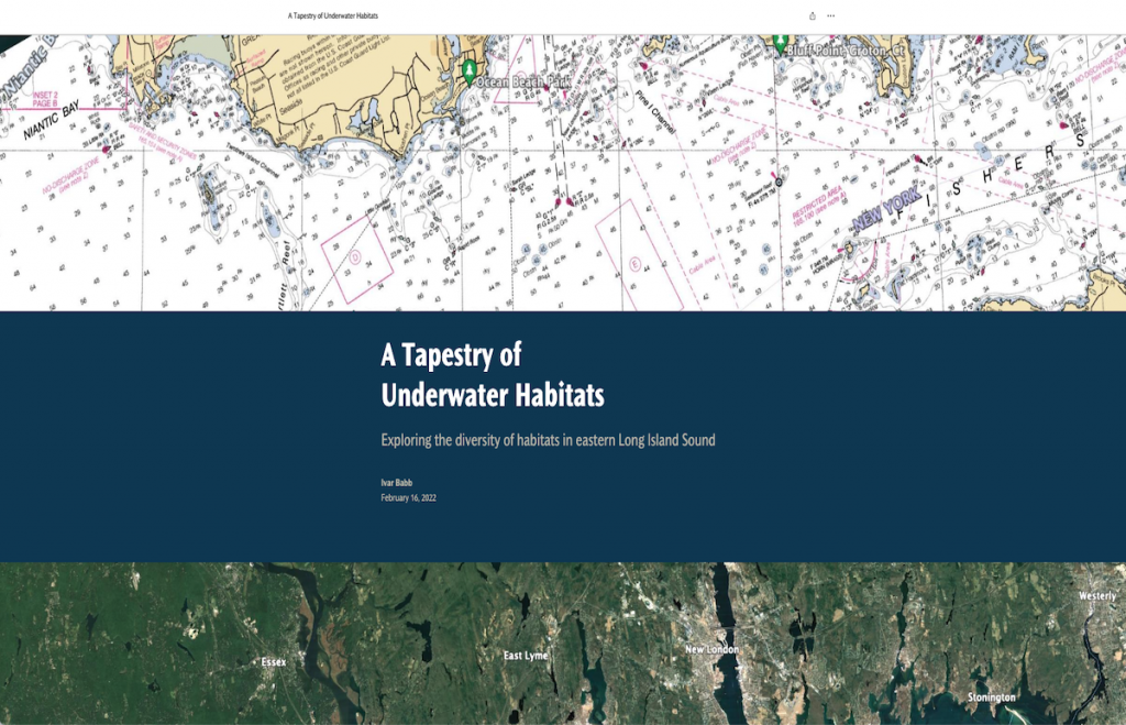 Cover of the Story Map that highlights some of the varied underwater habitats in the Sound