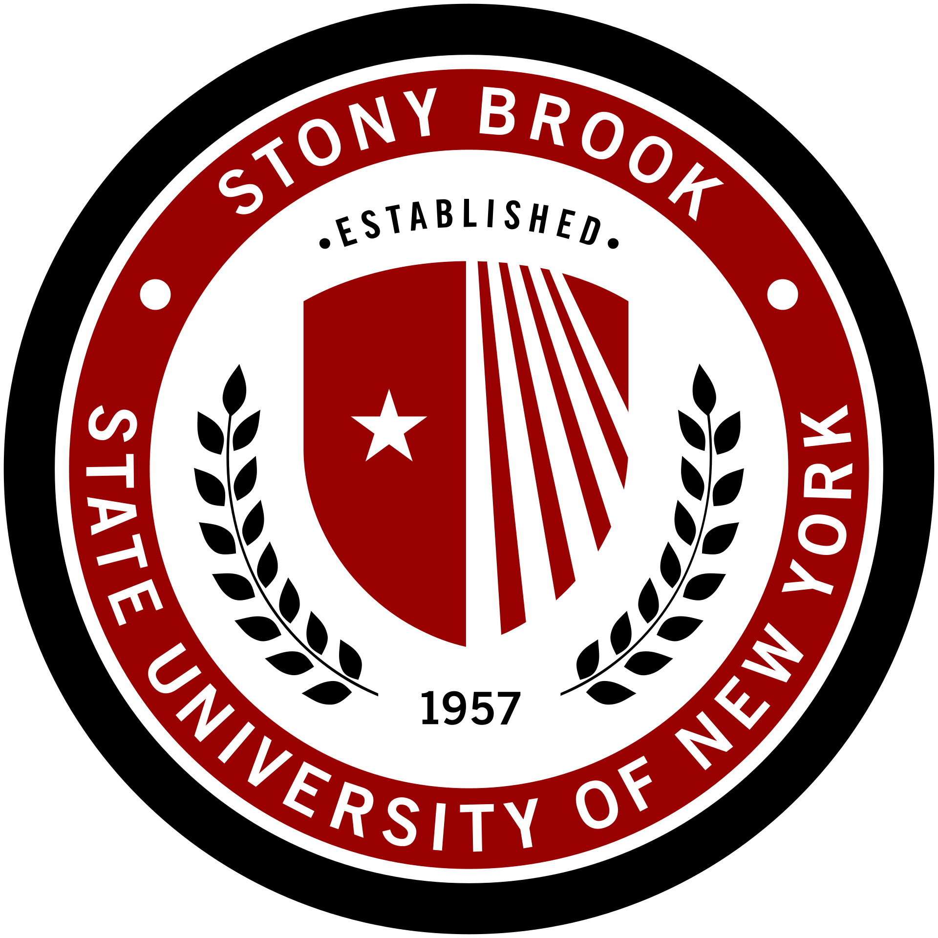 stony brook logo