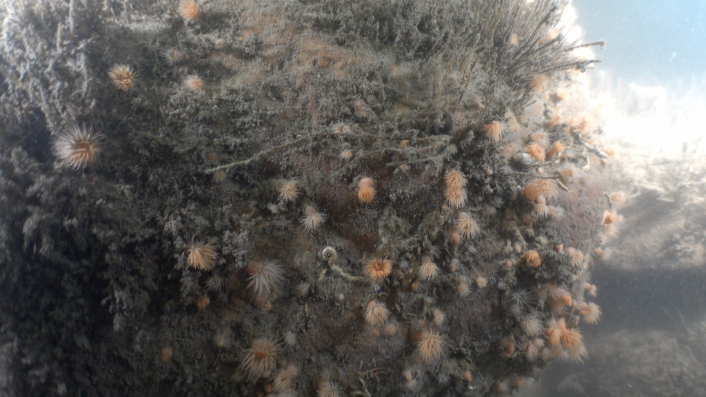 Boulder in Region Three