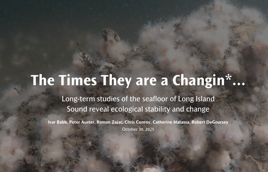 A cover image of the Times They are a Changin story map